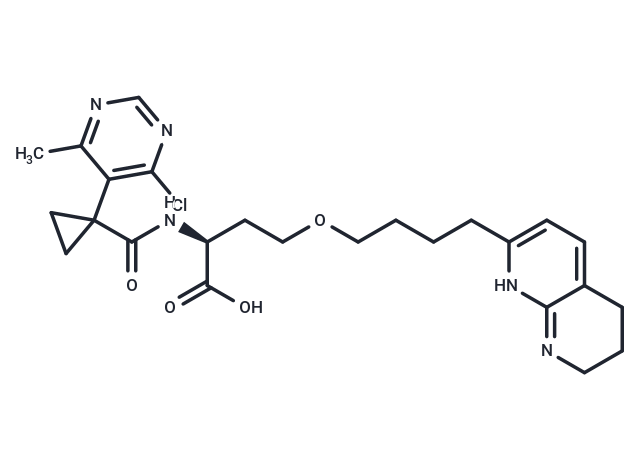 αVβ8-IN-1