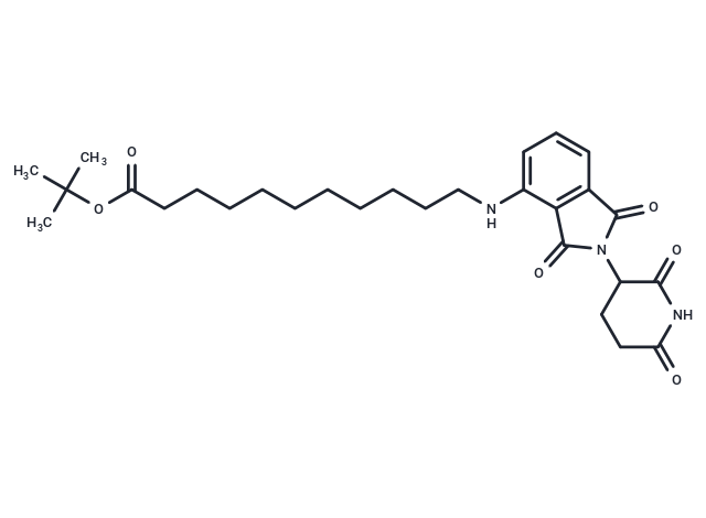 Thalidomide-NH-C10-Boc