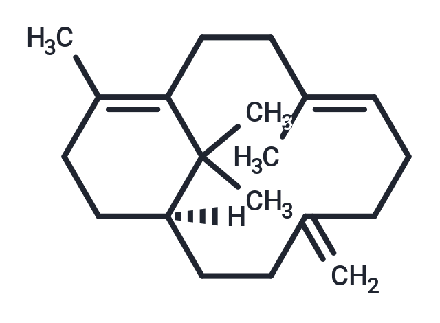 Verticilla-4(20),7,11-triene