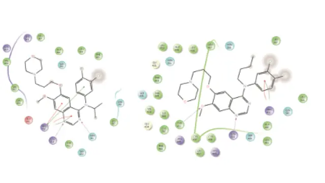 TargetMol明星分子——Gefitinib：EGFR 抑制剂