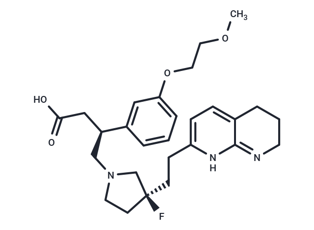 GSK3335103