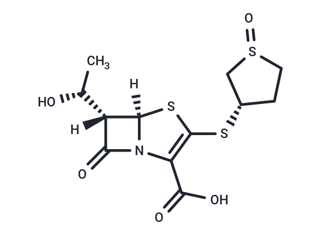 Sulopenem