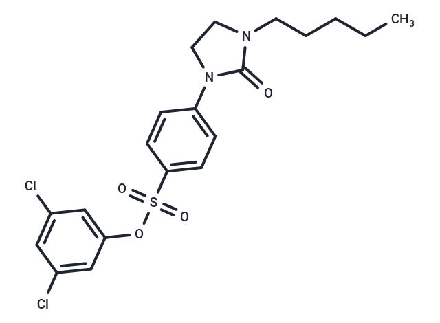 PAIB-SOs-12