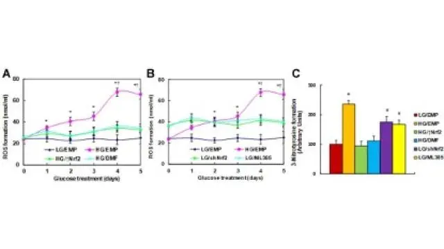 TargetMol明星分子——ML385：NRF2 抑制剂