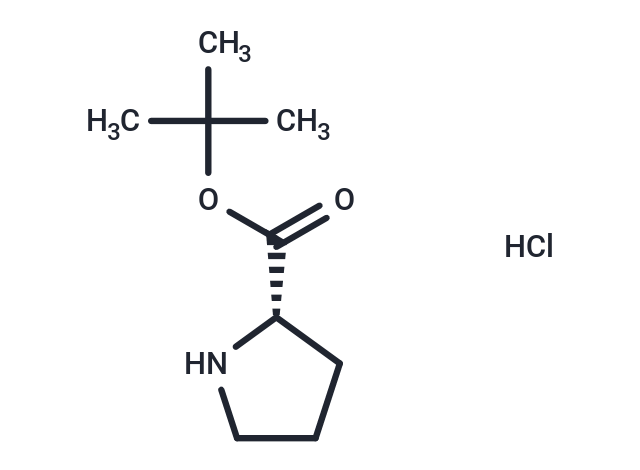 L-Proline tert-butyl ester hydrochloride