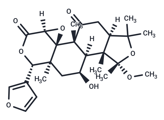 1-O-Methylclausenolide