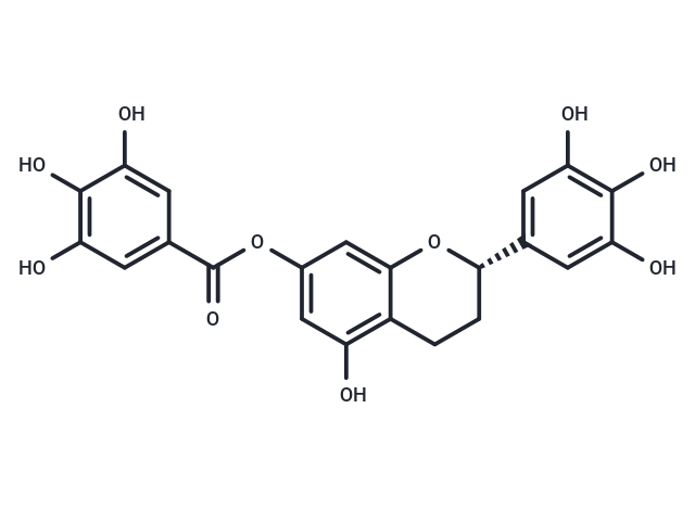 7-O-Galloyltricetiflavan