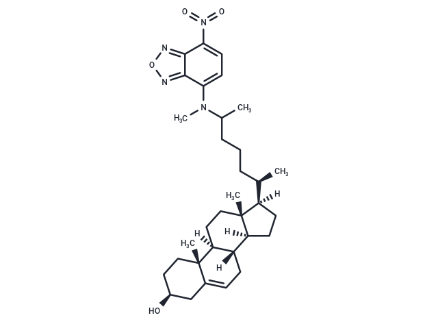 25-NBD Cholesterol