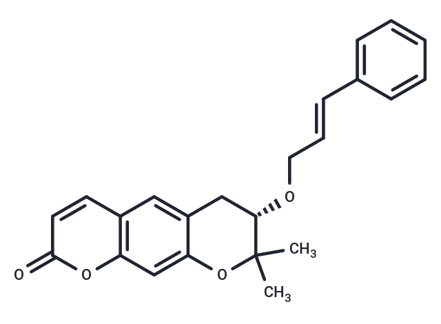 Progerinin