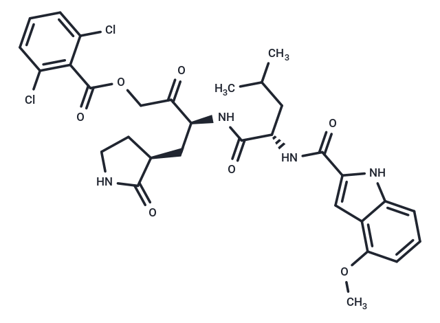 SARS-CoV-2 Mpro-IN-31