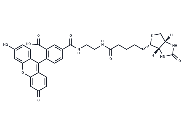 SARS-CoV-2 3CLpro-IN-26