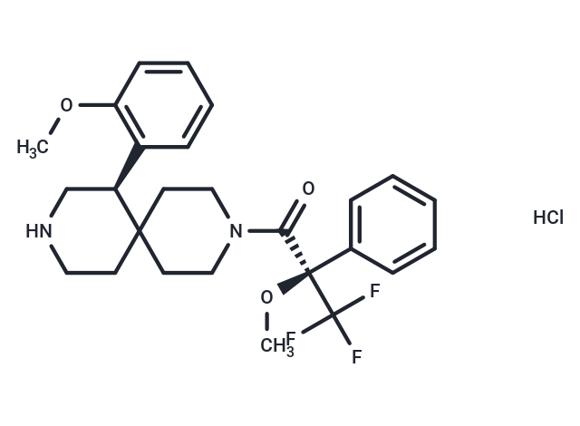 BAY 593