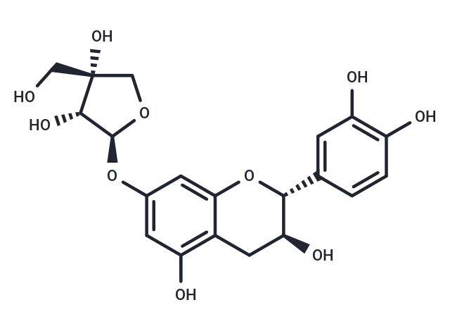 Catechin 7-apioside