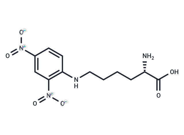 epsilon-Dinitrophenyllysine