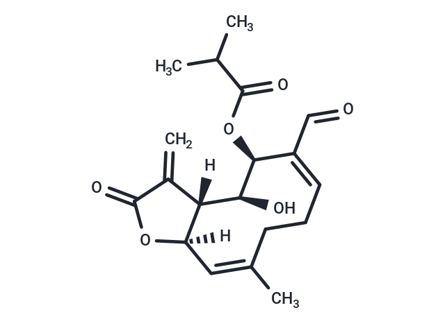 Acantholide