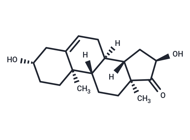 16α-hydroxy Dehydroepiandrosterone