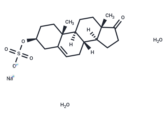 Prasterone sulfate sodium hydrate