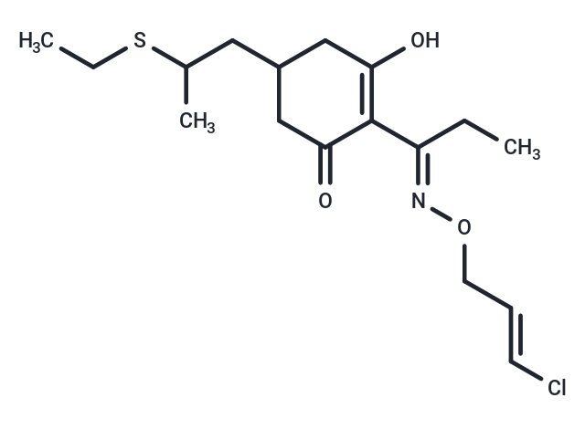 Clethodim in Acetonitrile (Standard)