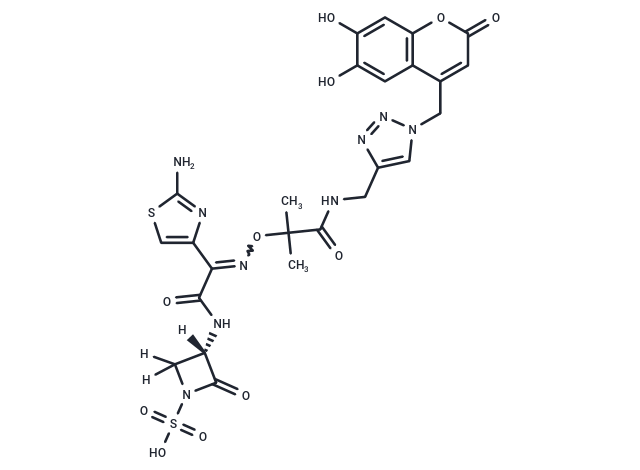 MLEB-22043