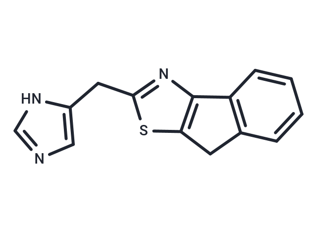 YM-31636 free base