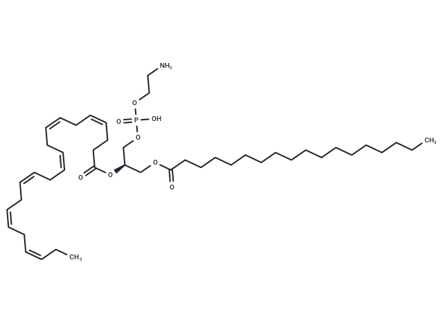 1-Stearoyl-2-Docosahexaenoyl-sn-glycero-3-PE