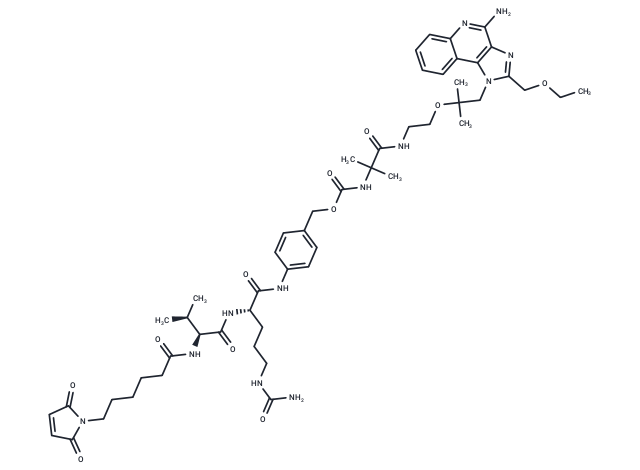 MC-Val-Cit-PAB-Amide-TLR7 agonist 4 Conjugate