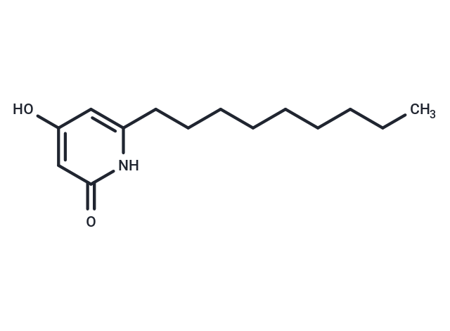 LY-237
