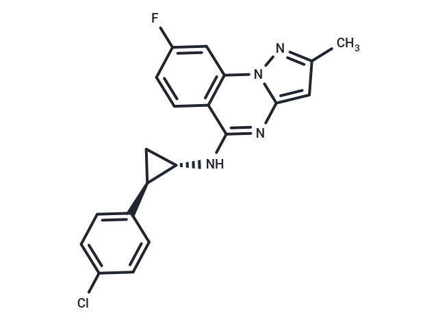 KP-81