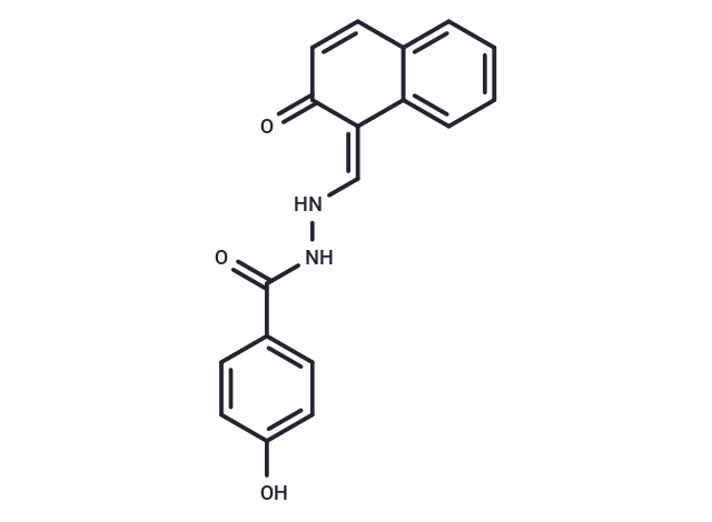 MEISi-2