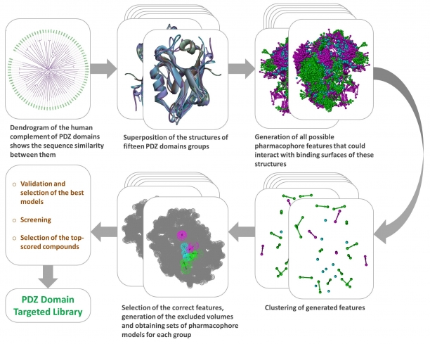  PDZ domain targeted library