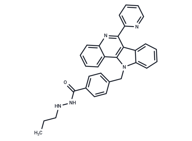 LSQ-28