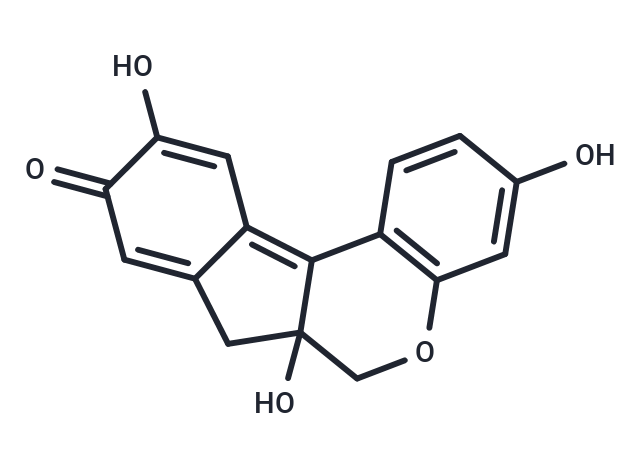 Brazilein