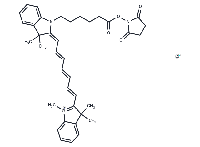 Cy7 SE (nosulfo)