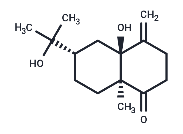 Eutypenes I