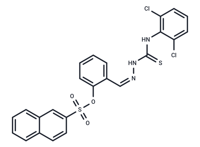 hCAI/II-IN-10