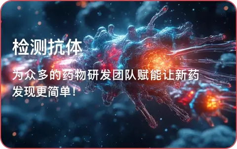 检测抗体
