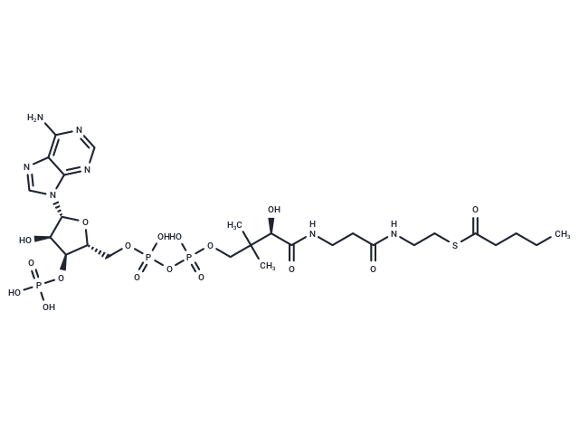 Pentanoyl Coenzyme A