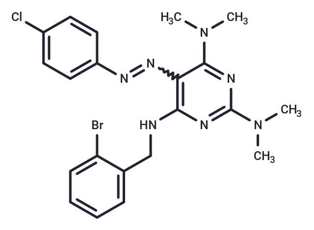 AAP4