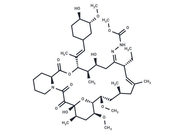 JH-FK-08