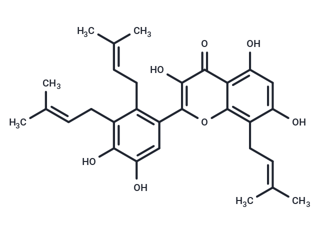 Broussoflavonol G