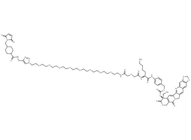 CL2A-FL118