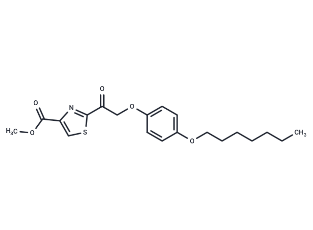 GK420