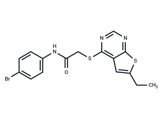 p38 MAPK-IN-6