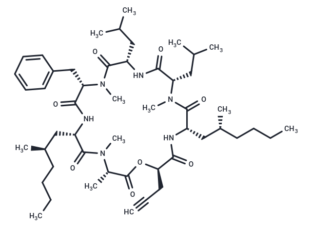 CT-08