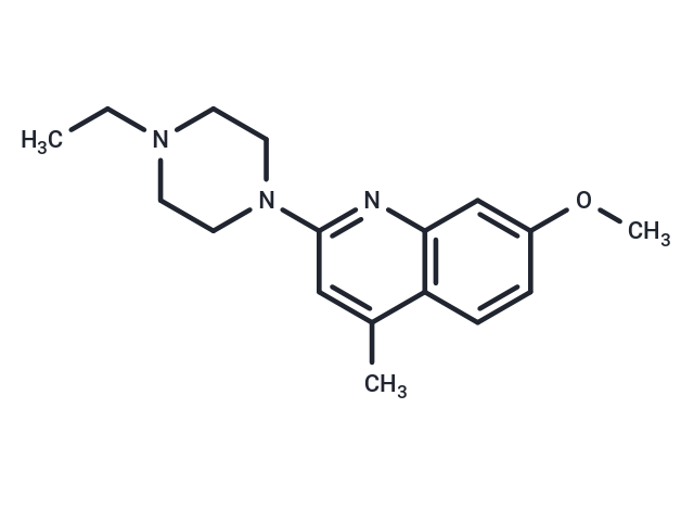 ETNK-IN-2