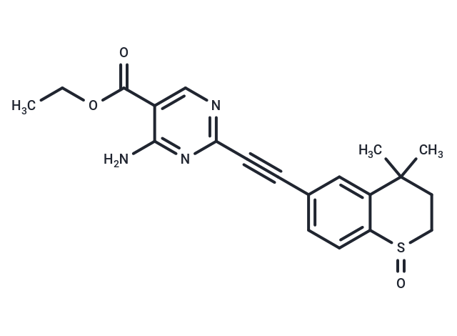 ZSH-512