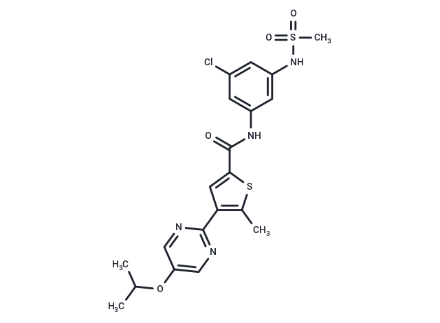 DHX9-IN-19