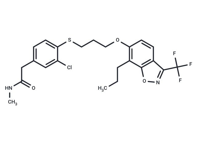 NRMA-9