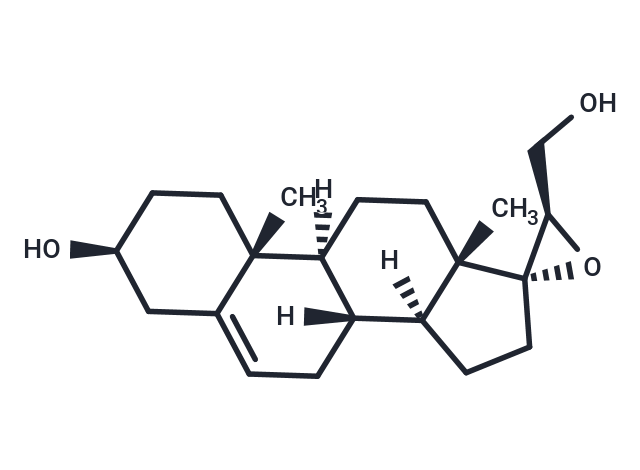 BNN27