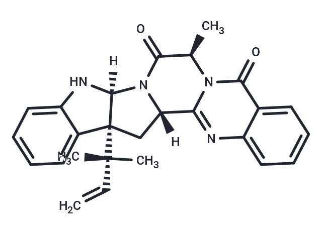 Ardeemin
